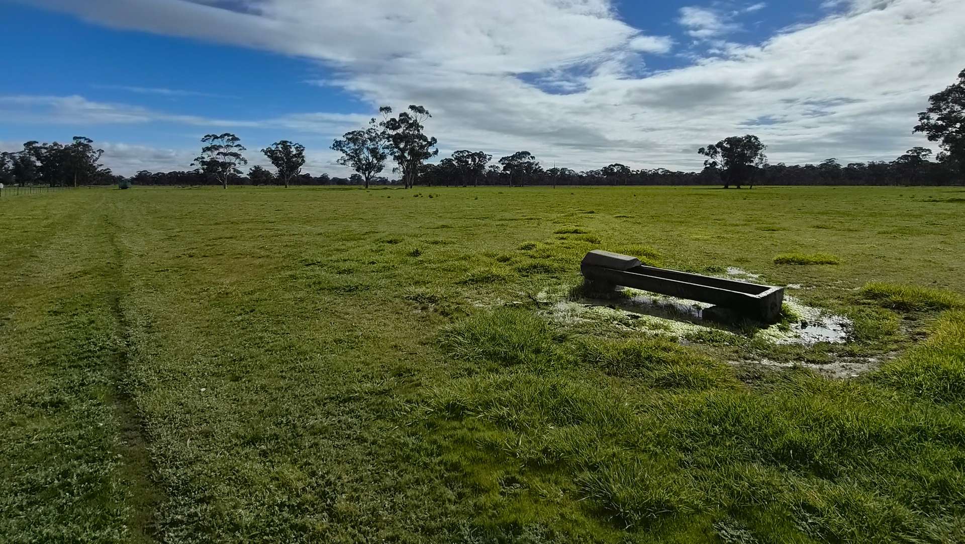 Lot 1 Bangham Road, Bangham For Sale by Farmbuy.com - image 16