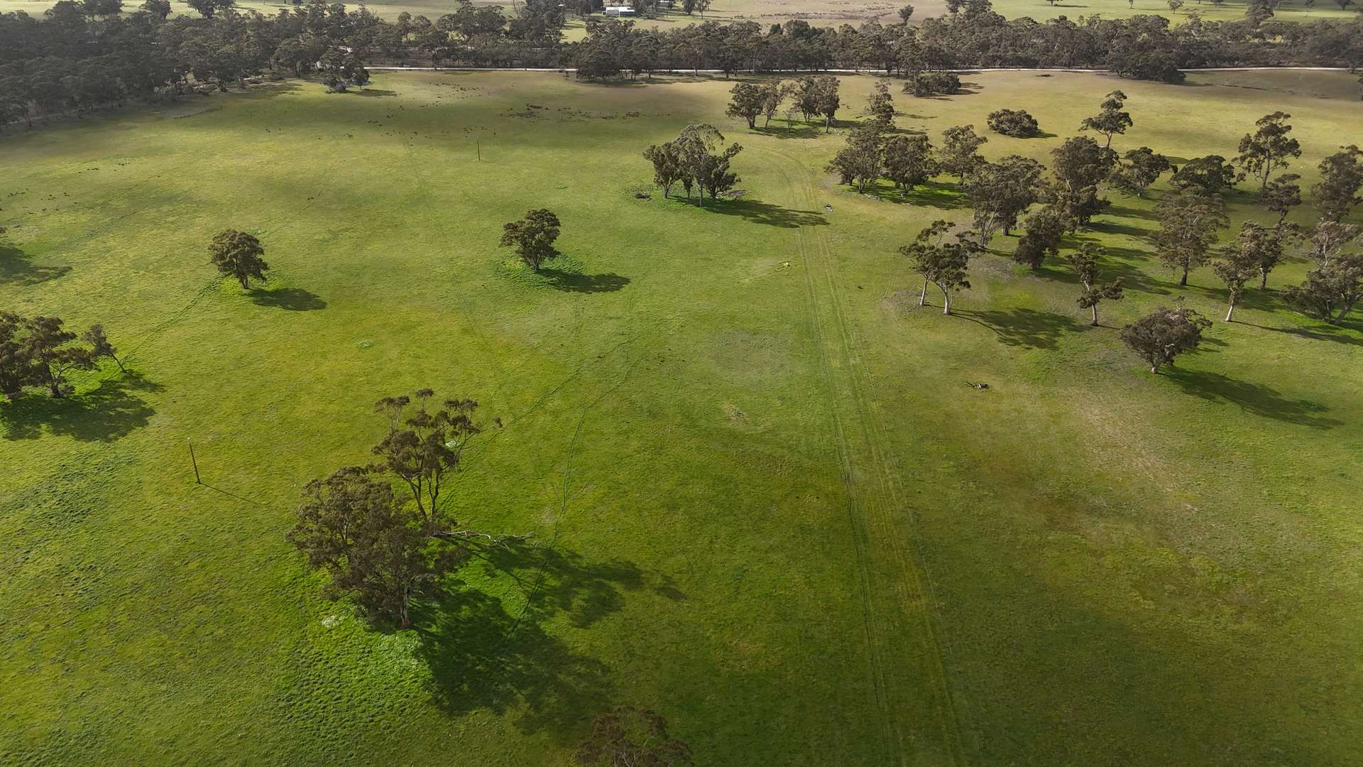 Lot 1 Bangham Road, Bangham For Sale by Farmbuy.com - image 2