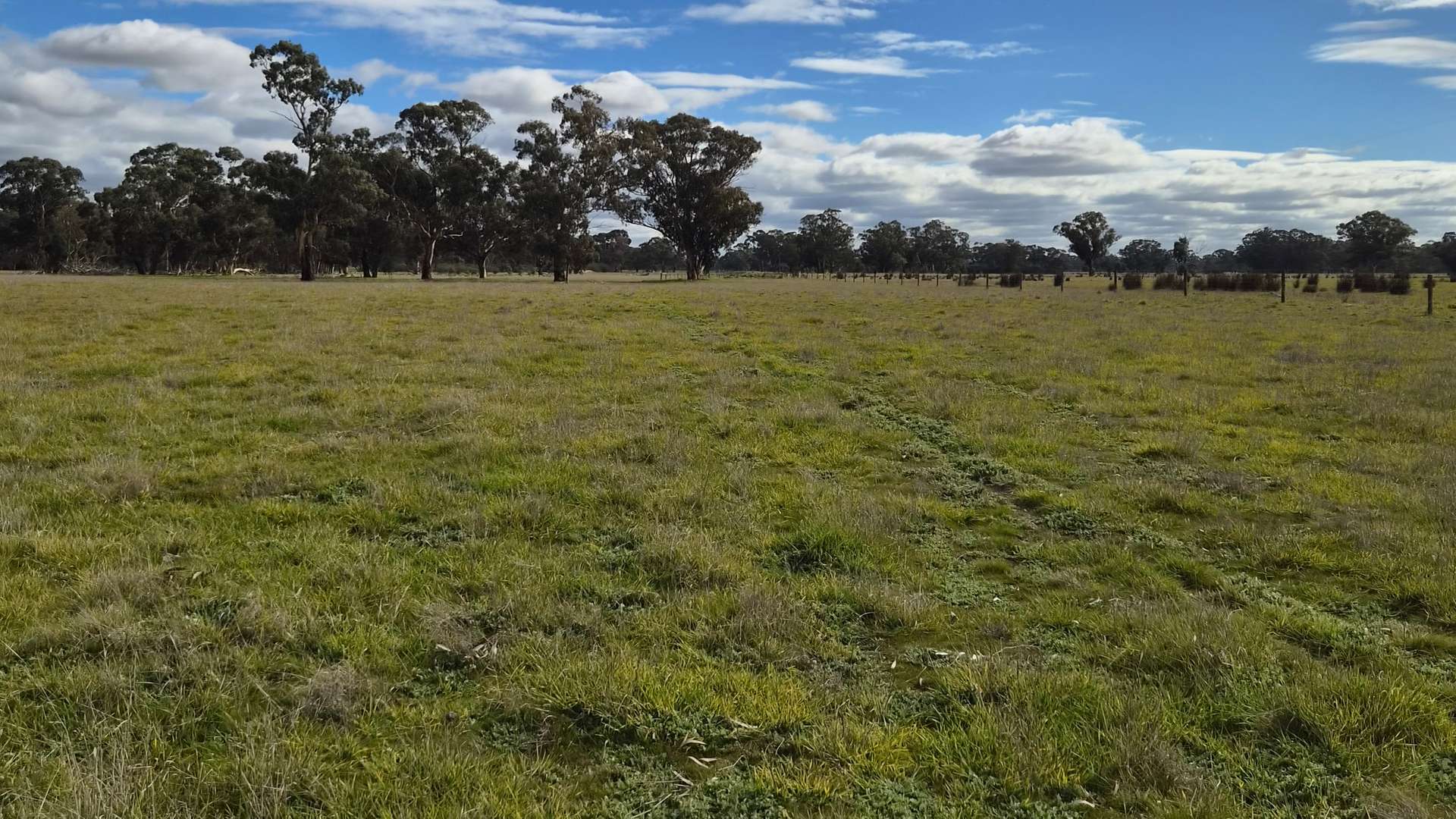 Lot 1 Bangham Road, Bangham For Sale by Farmbuy.com - image 26