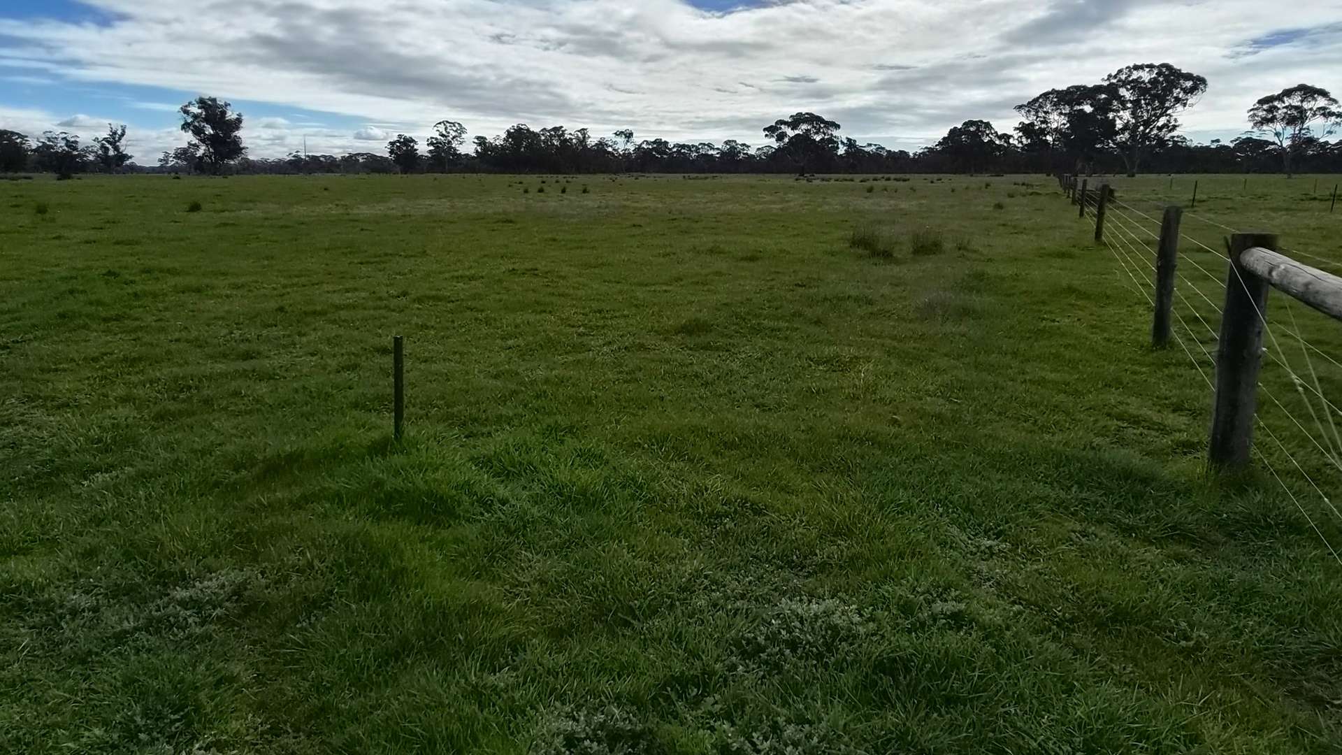 Lot 1 Bangham Road, Bangham For Sale by Farmbuy.com - image 18
