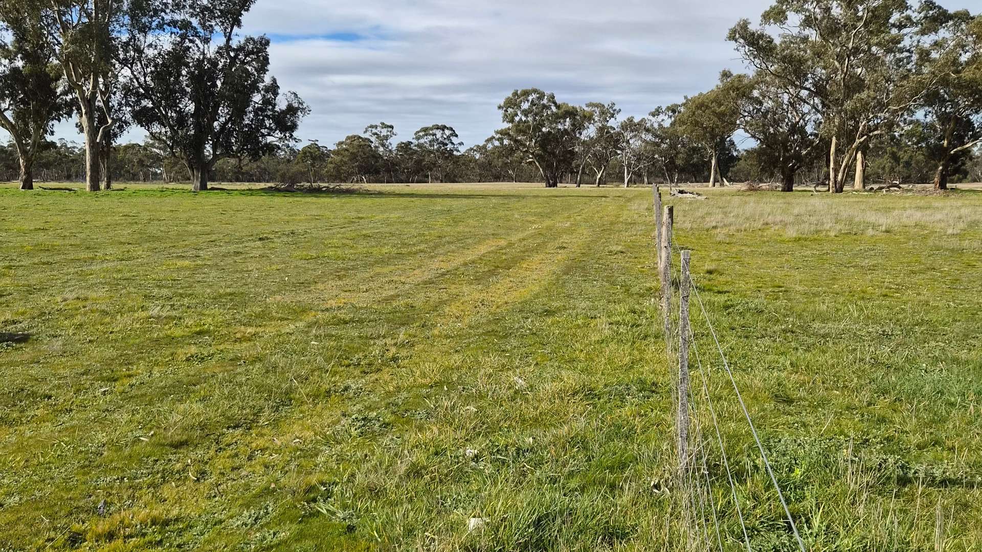 Lot 1 Bangham Road, Bangham For Sale by Farmbuy.com - image 6