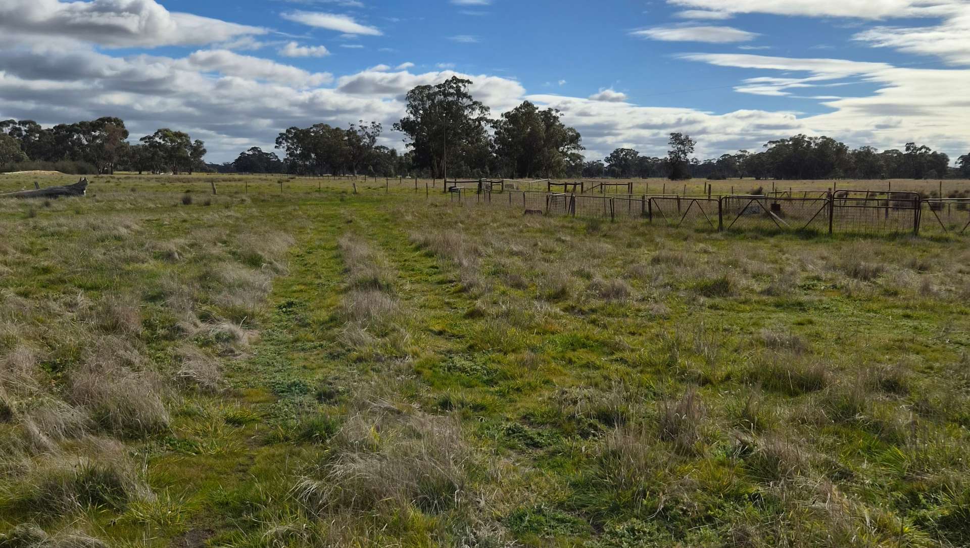 Lot 1 Bangham Road, Bangham For Sale by Farmbuy.com - image 28