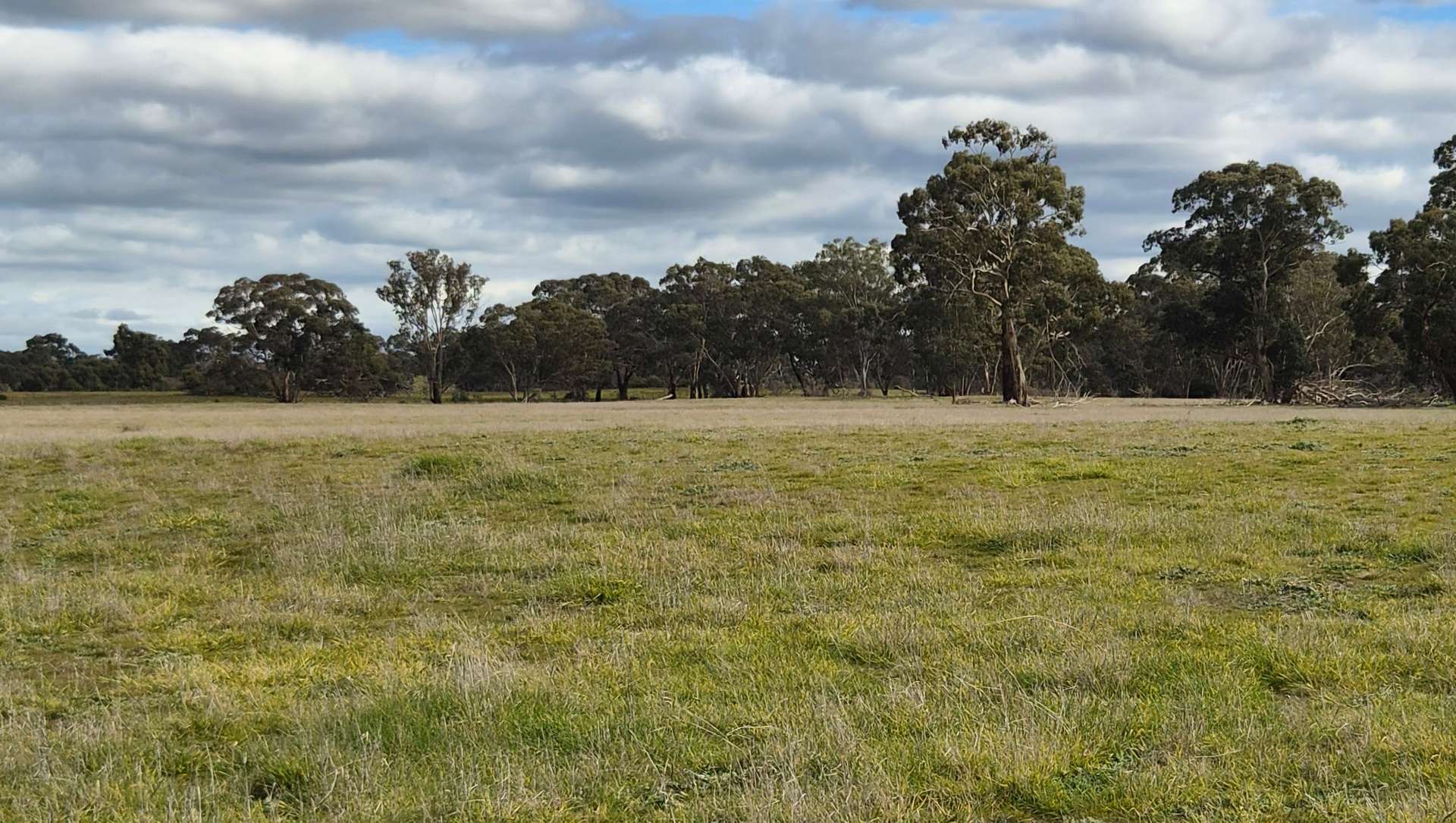 Lot 1 Bangham Road, Bangham For Sale by Farmbuy.com - image 27
