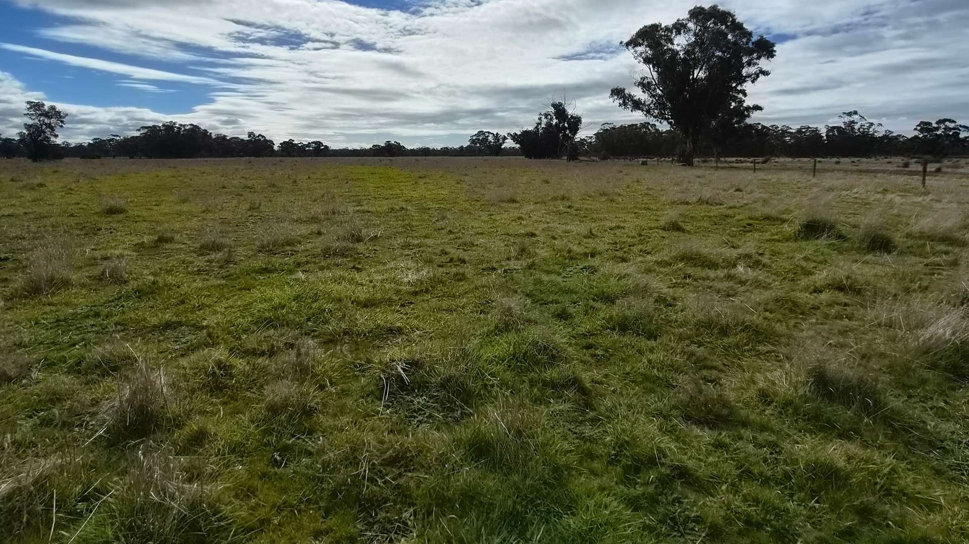 Lot 1 Bangham Road, Bangham For Sale by Farmbuy.com - image 8