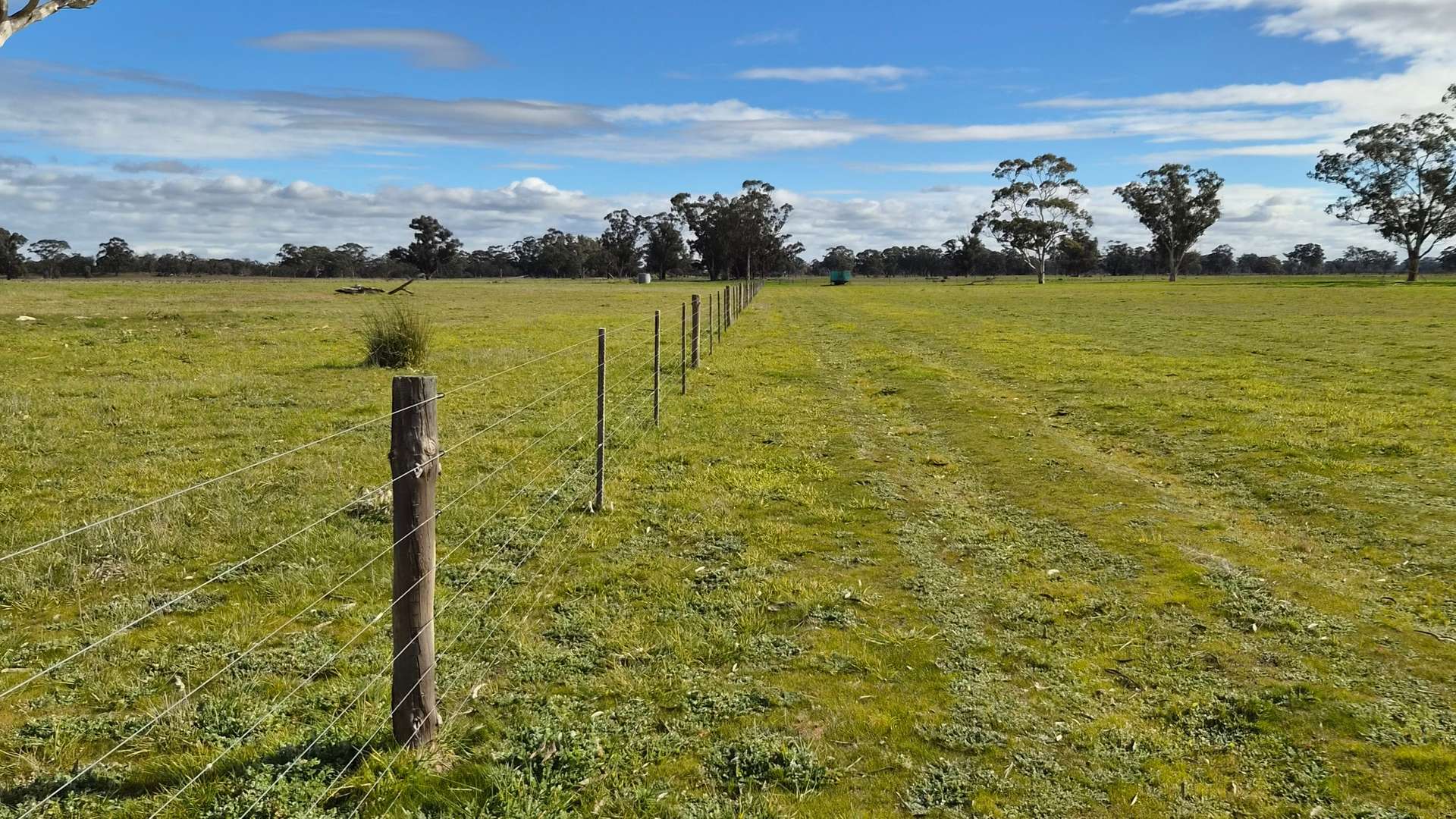 Lot 1 Bangham Road, Bangham For Sale by Farmbuy.com - image 7