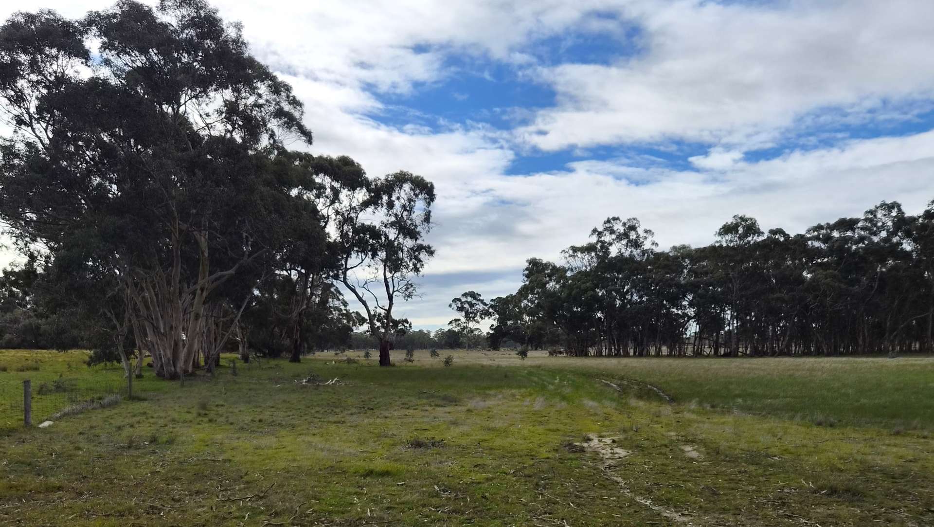 Lot 1 Bangham Road, Bangham For Sale by Farmbuy.com - image 13