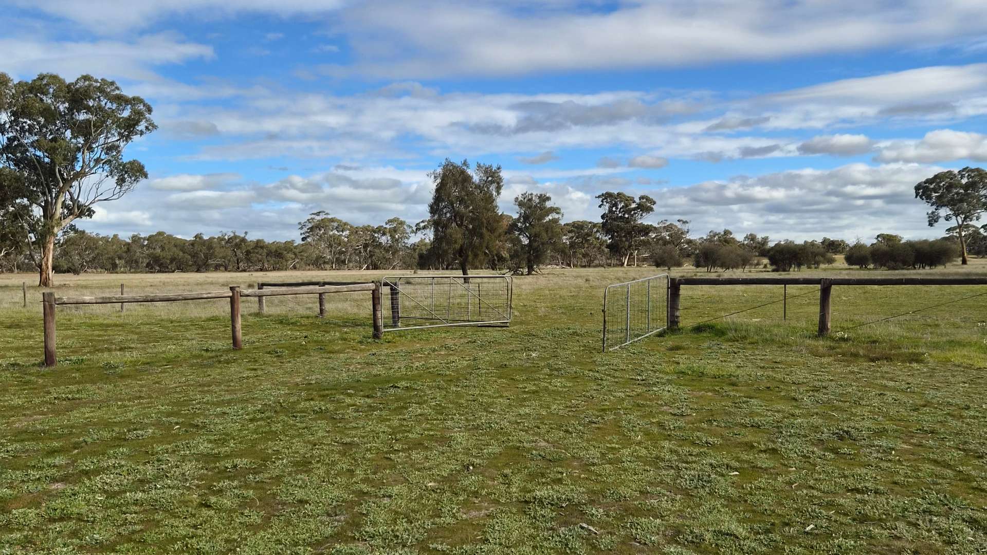 Lot 1 Bangham Road, Bangham For Sale by Farmbuy.com - image 23