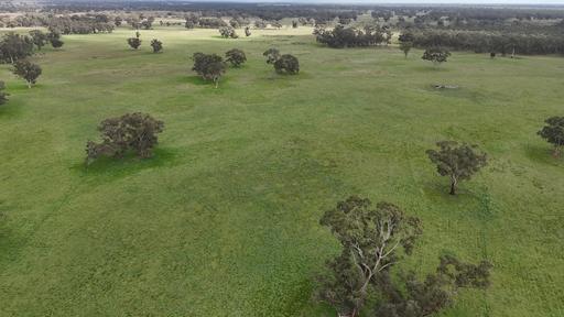 Farm For Sale - SA - Bangham - 5268 - 2123 Bangham Road 