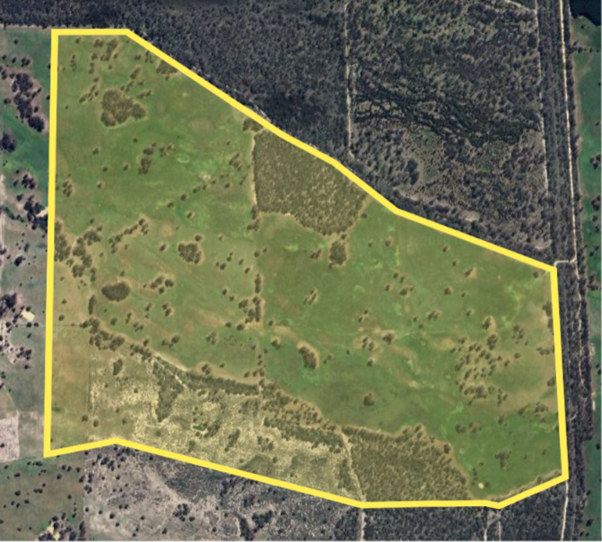 Lot 1 Bangham Road, Bangham For Sale by Farmbuy.com - image 30