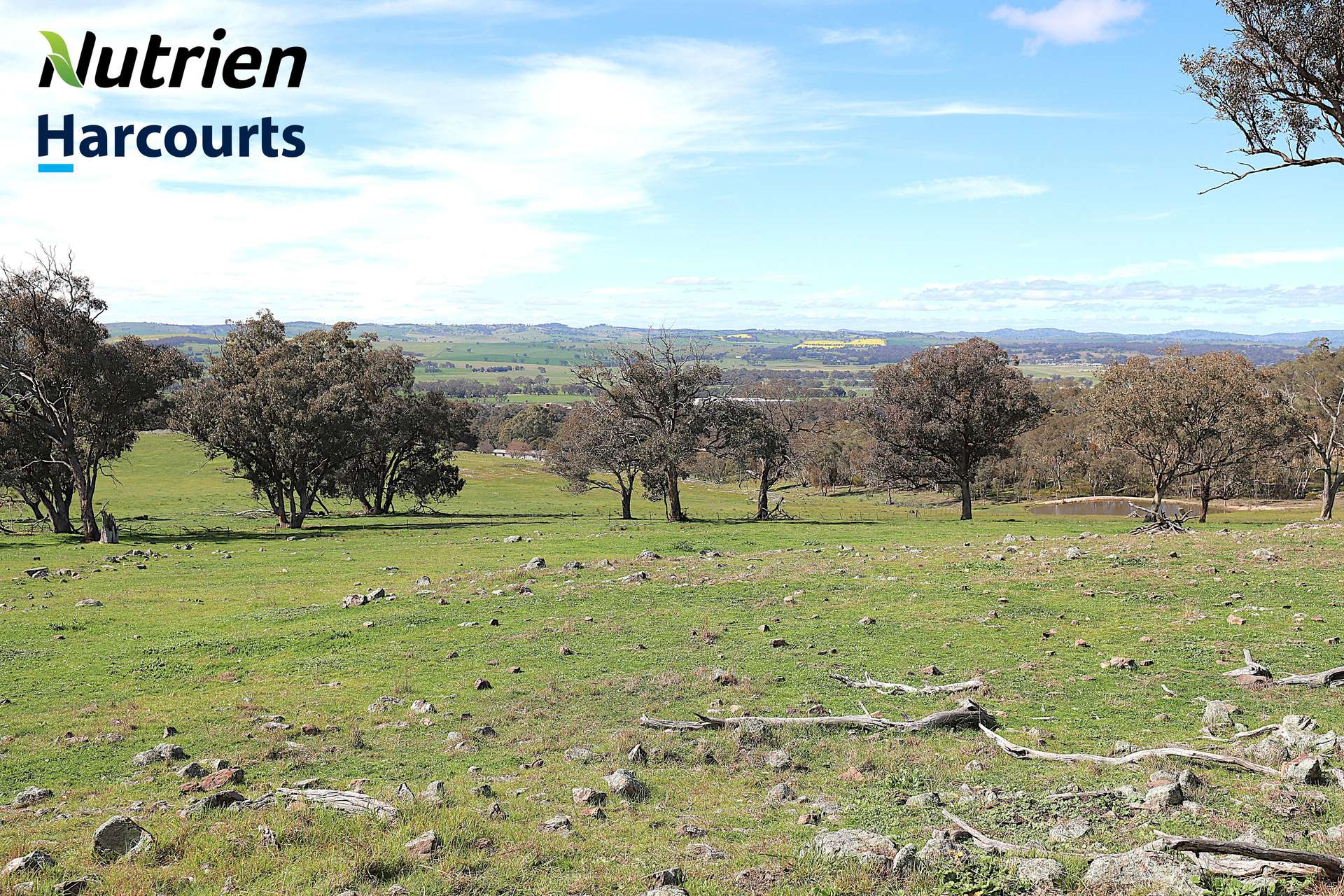 Lot Lot 2, 94 Old Cootamundra Road, Cootamundra For Sale by Farmbuy.com - image 4