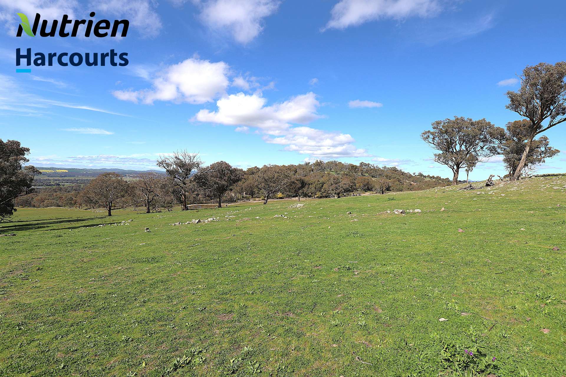 Lot Lot 2, 94 Old Cootamundra Road, Cootamundra For Sale by Farmbuy.com - image 3