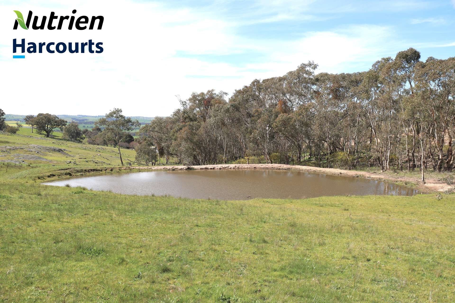 Lot Lot 2, 94 Old Cootamundra Road, Cootamundra For Sale by Farmbuy.com - image 5