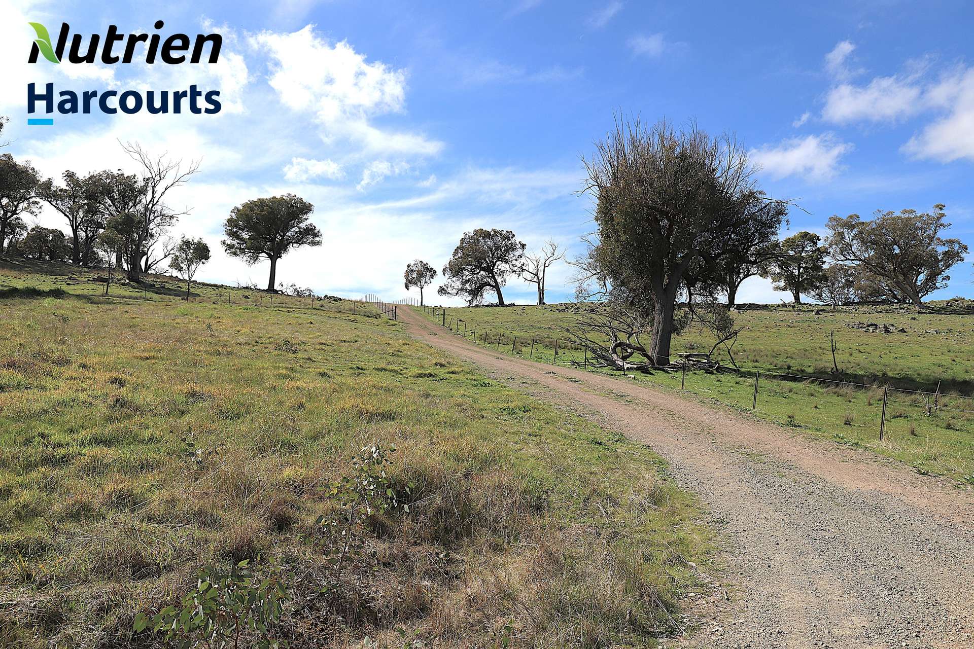 Lot Lot 2, 94 Old Cootamundra Road, Cootamundra For Sale by Farmbuy.com - image 6