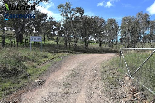 Farm For Sale - NSW - Cootamundra - 2590 - "Ridge View" - The Perfect Rural Escape - 13.29 acres 