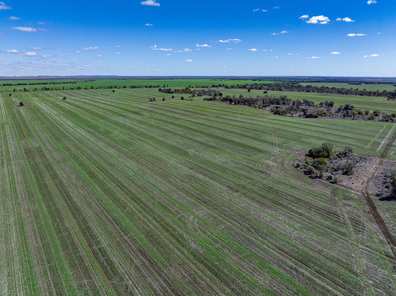 110 Overstone Road, Noorindoo For Sale by Farmbuy.com - image 6
