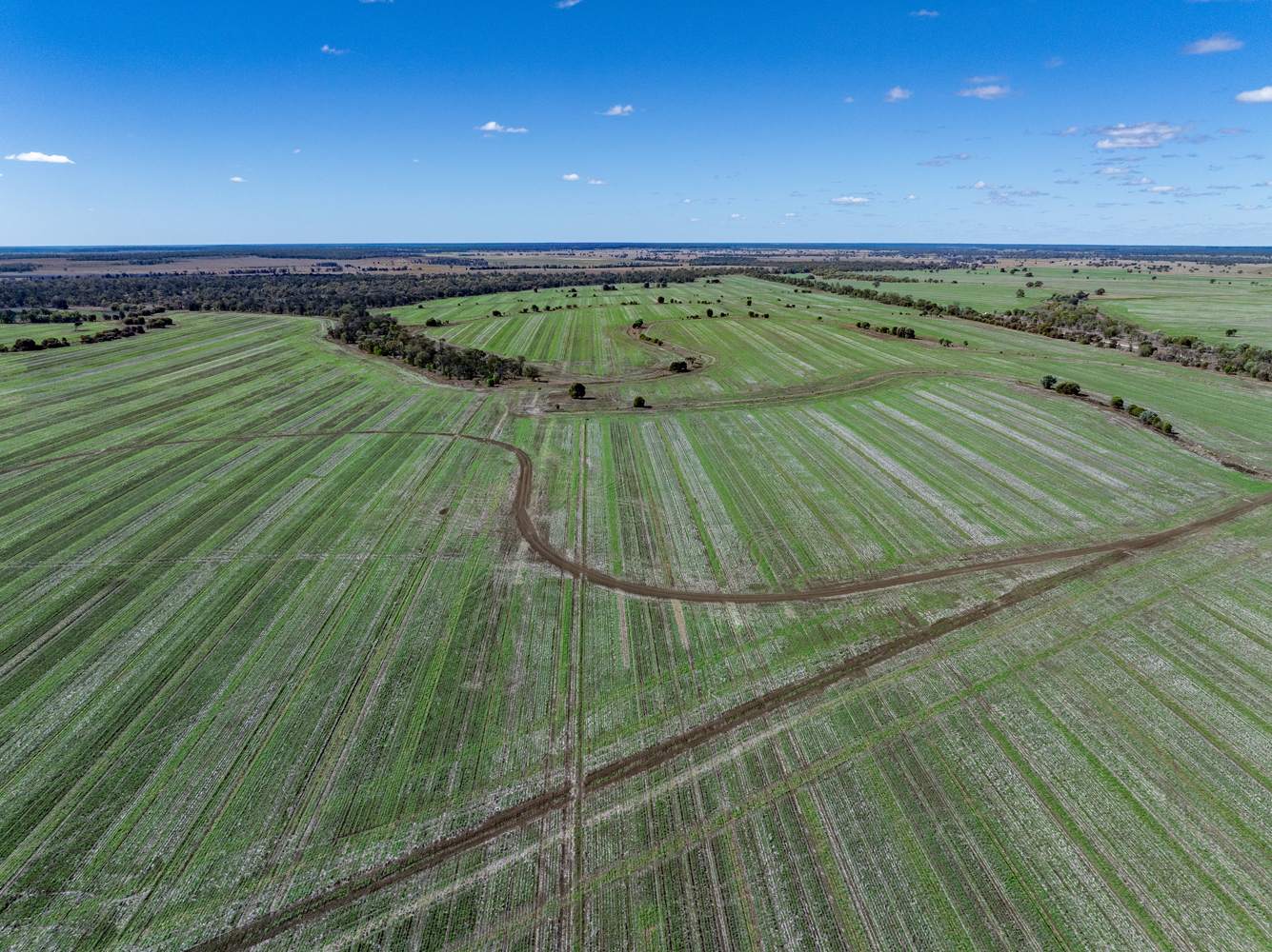 110 Overstone Road, Noorindoo For Sale by Farmbuy.com - image 21