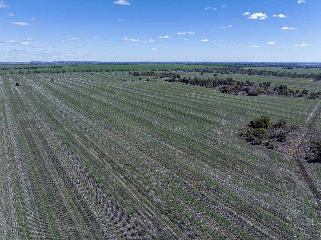 110 Overstone Road, Noorindoo For Sale by Farmbuy.com - image 3