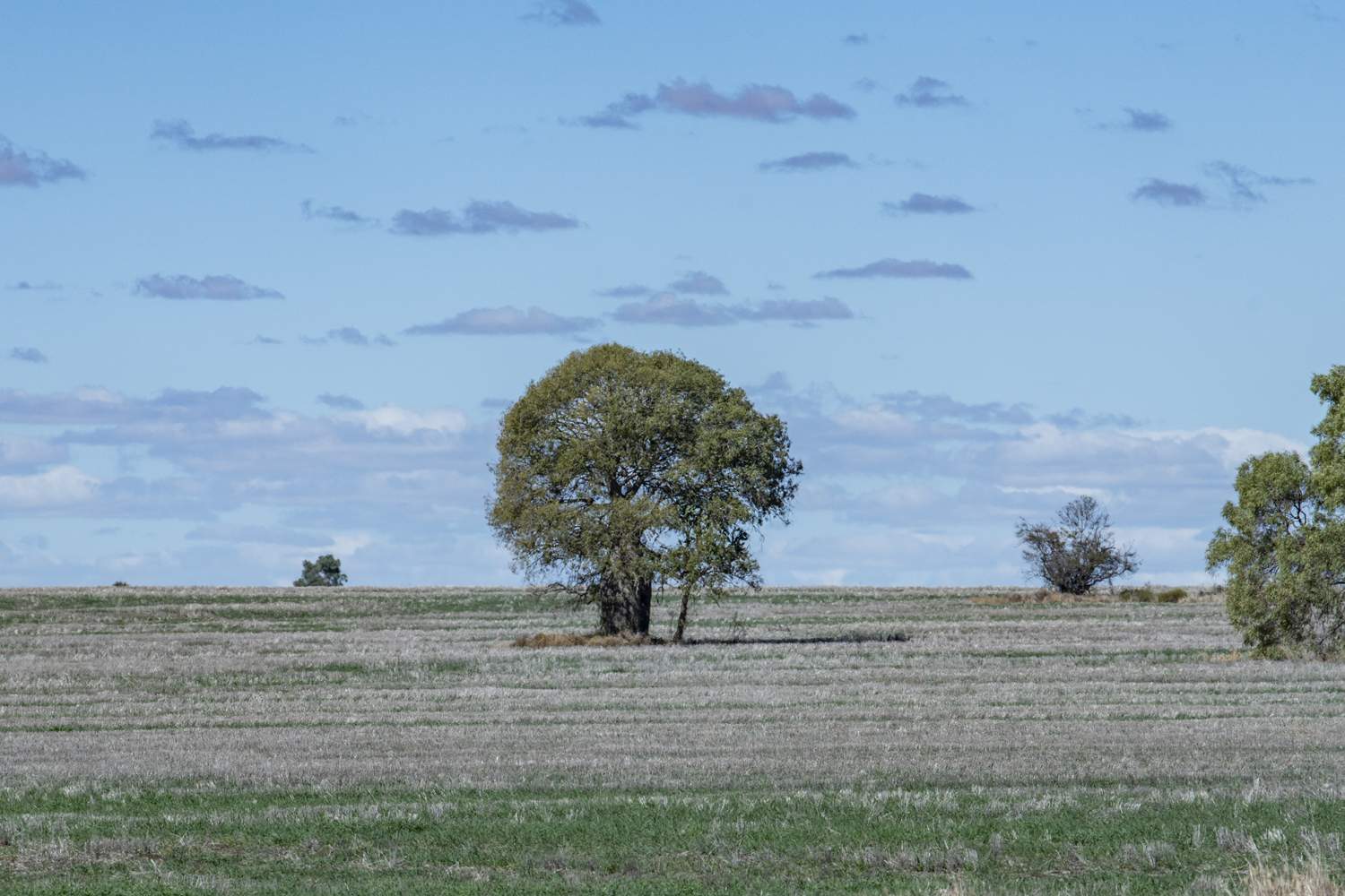 110 Overstone Road, Noorindoo For Sale by Farmbuy.com - image 4