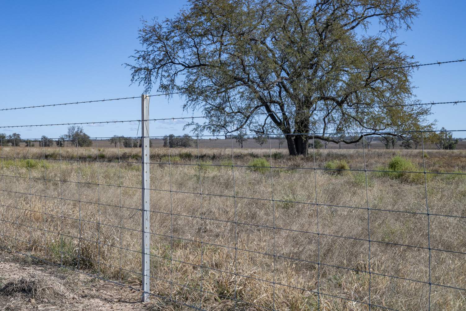 110 Overstone Road, Noorindoo For Sale by Farmbuy.com - image 24