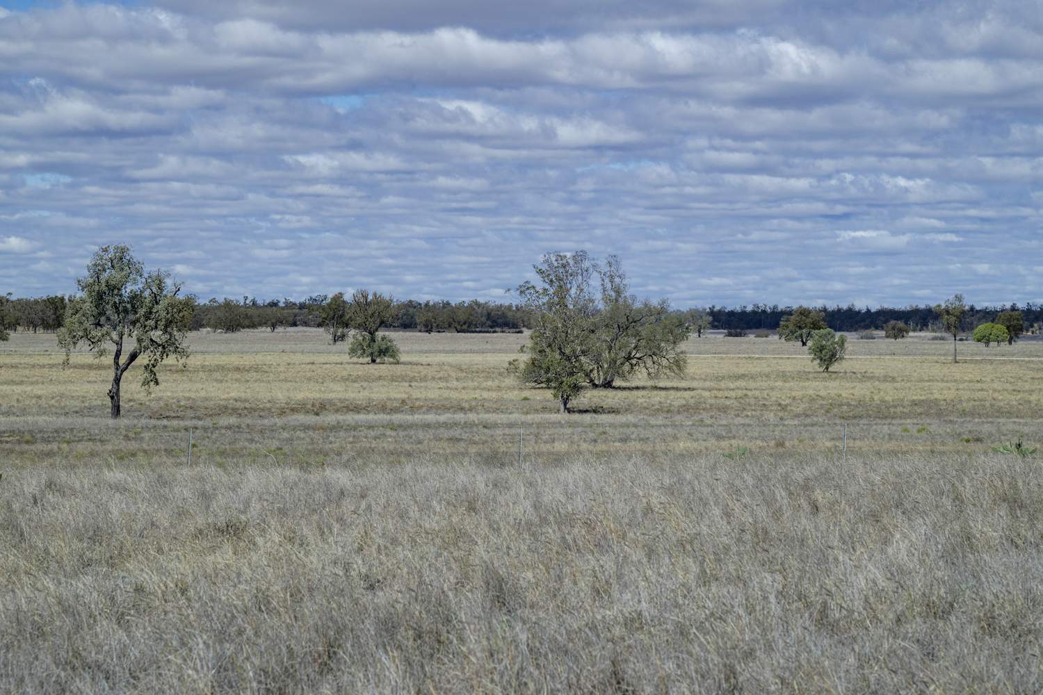 110 Overstone Road, Noorindoo For Sale by Farmbuy.com - image 3