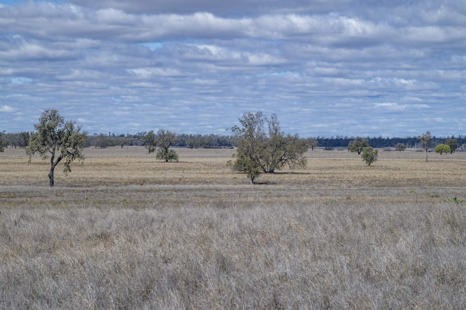 110 Overstone Road, Noorindoo For Sale by Farmbuy.com - image 6