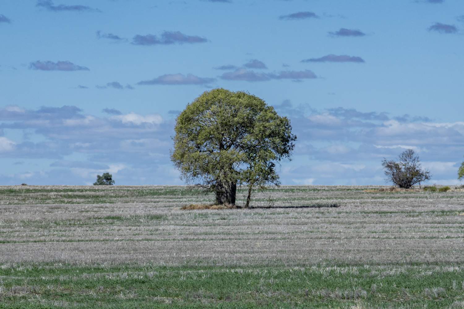 110 Overstone Road, Noorindoo For Sale by Farmbuy.com - image 4