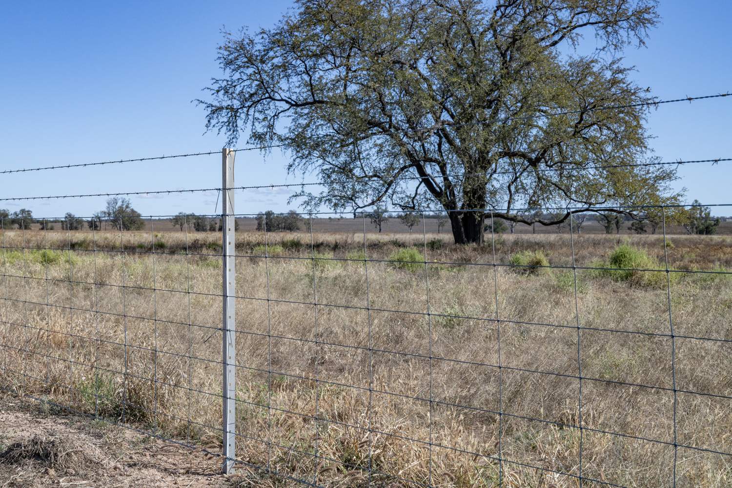 110 Overstone Road, Noorindoo For Sale by Farmbuy.com - image 20