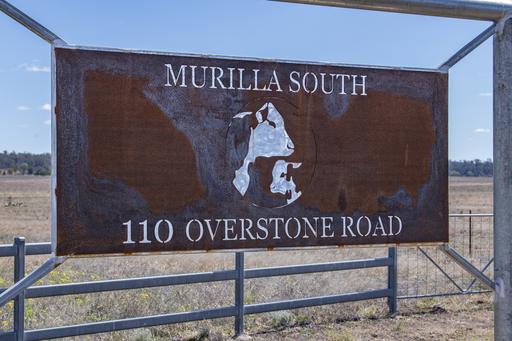 Farm For Sale - QLD - Noorindoo - 4417 - MURILLA SOUTH - TURNKEY BACKGROUNDING AT SCALE 