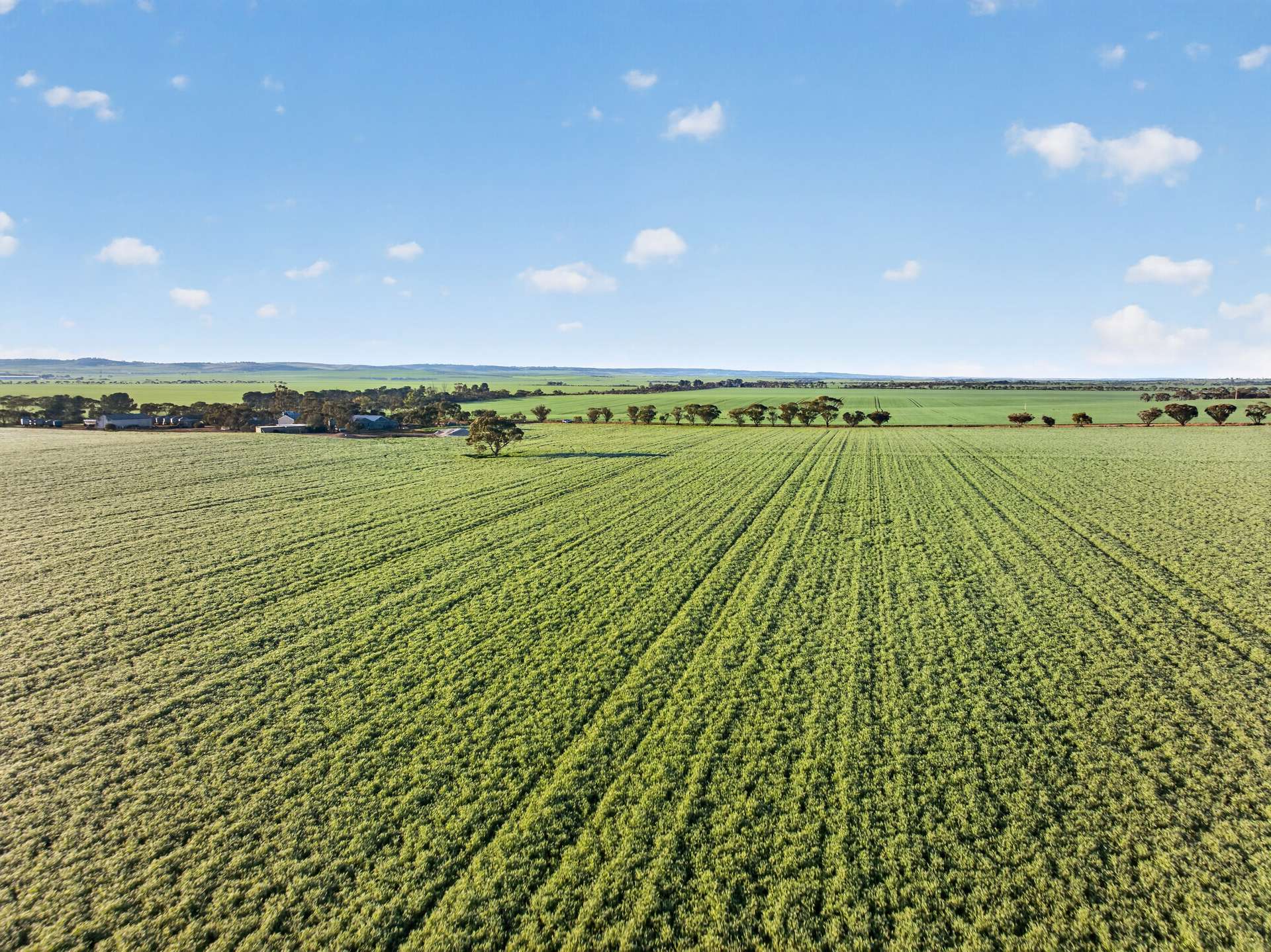 'Murrumbeena' Murrumbeena Road, Hart For Sale by Farmbuy.com - image 5