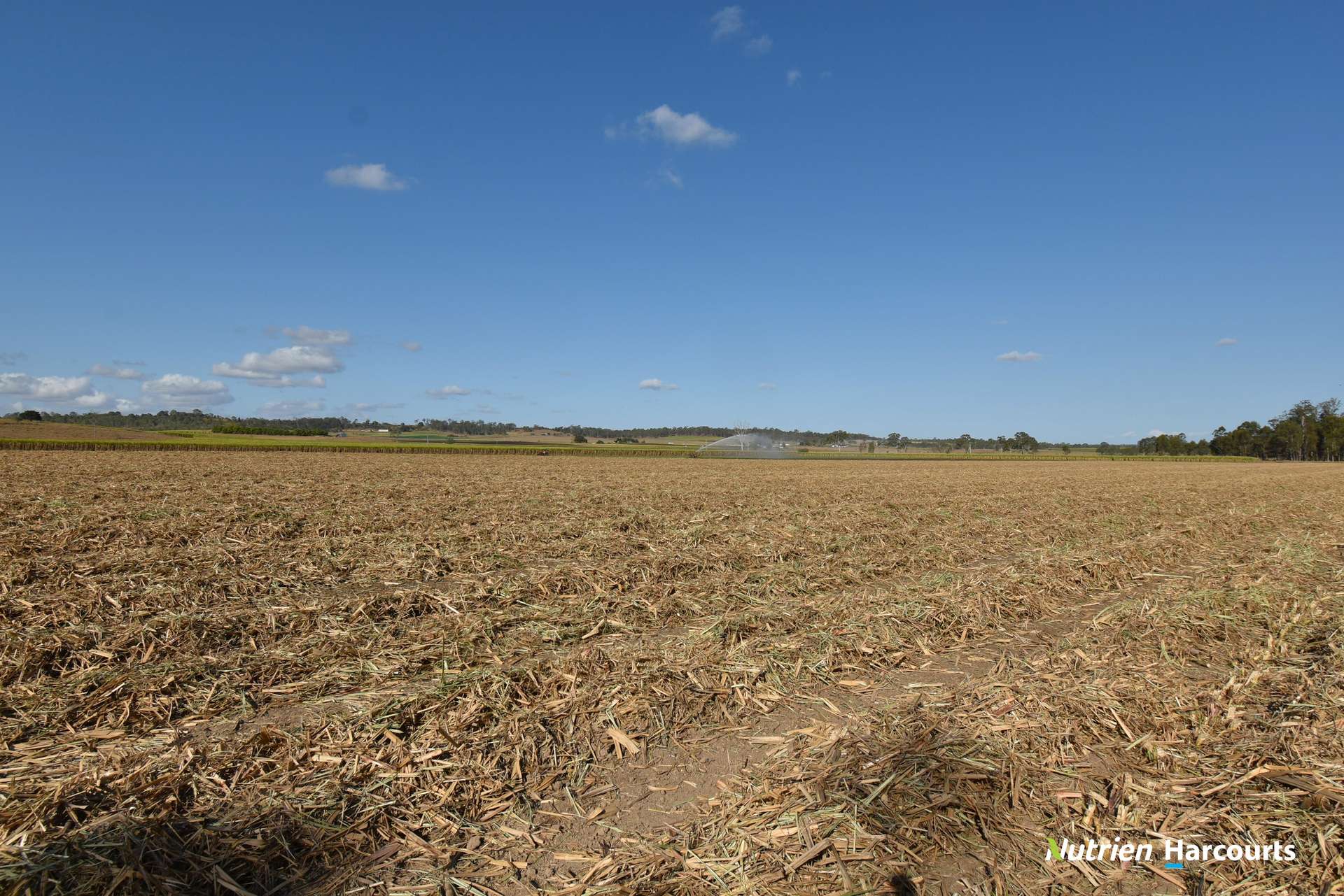 Lot/8 Cloyne Rd, McIlwraith For Sale by Farmbuy.com - image 14
