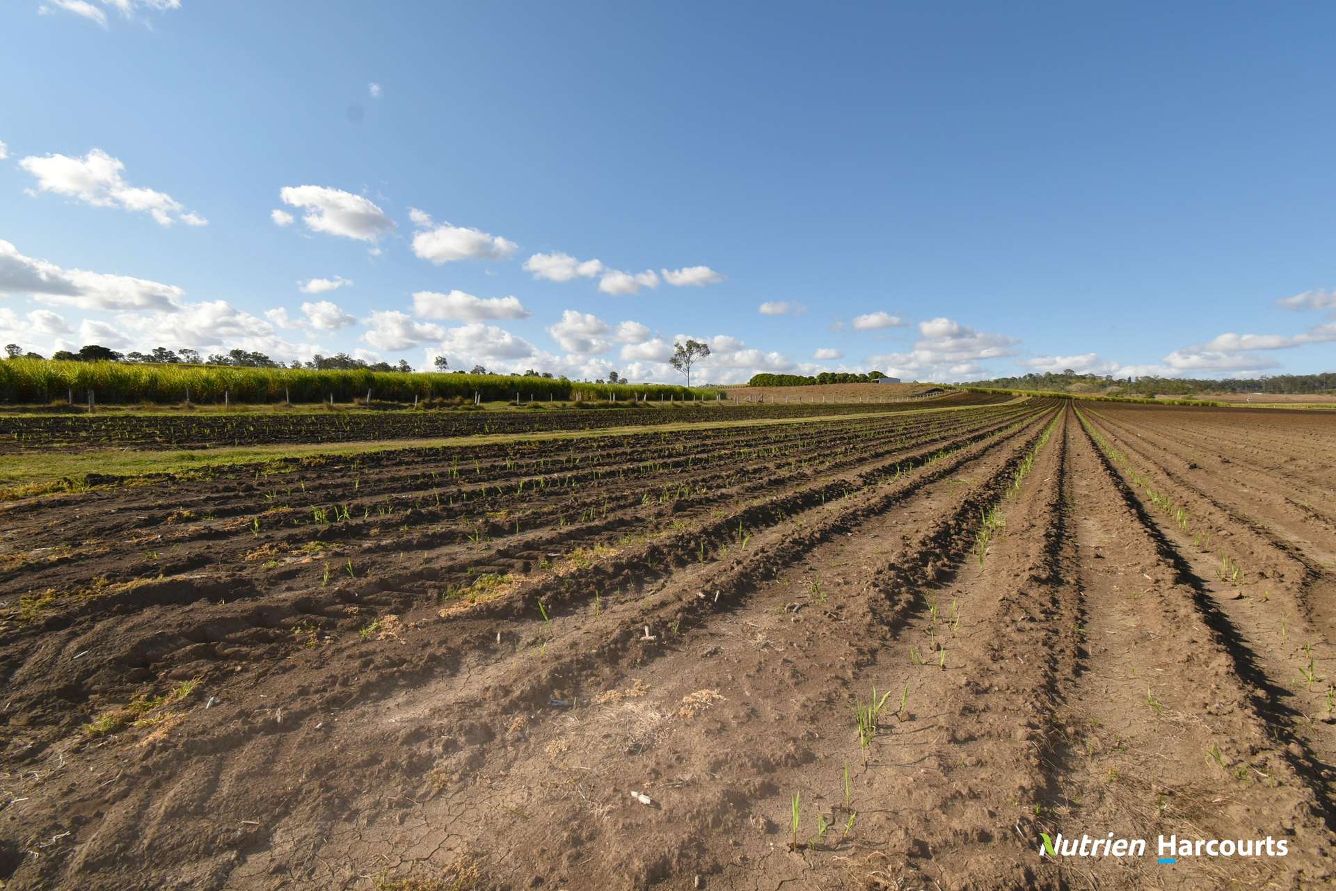 Lot/8 Cloyne Rd, McIlwraith For Sale by Farmbuy.com - image 19