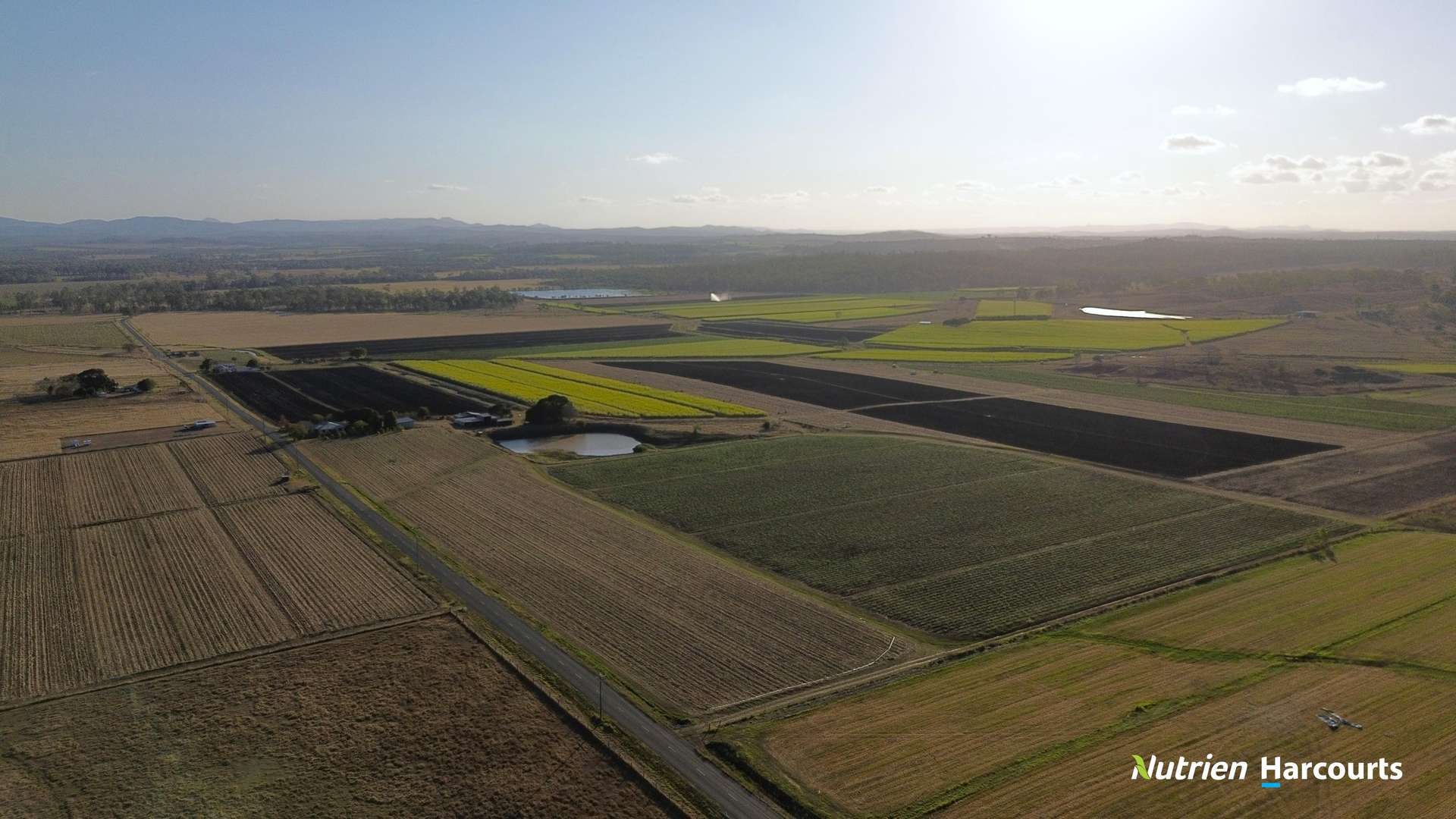 Lot/8 Cloyne Rd, McIlwraith For Sale by Farmbuy.com - image 7