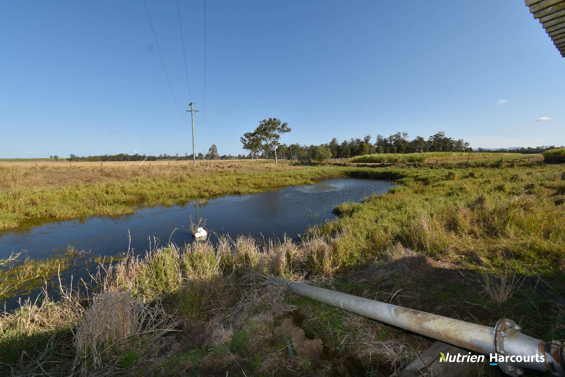 Lot/8 Cloyne Rd, McIlwraith For Sale by Farmbuy.com - image 18