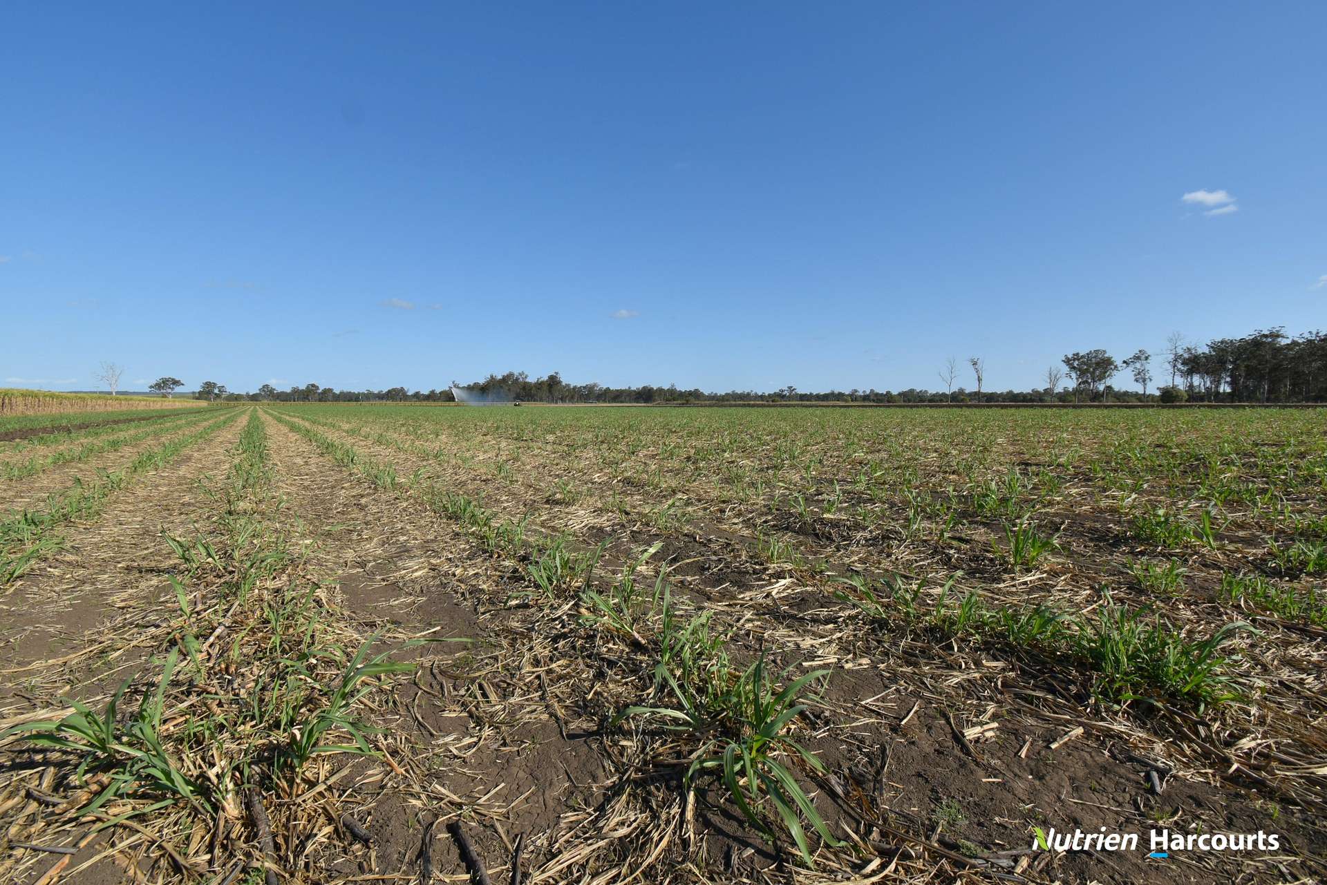Lot/8 Cloyne Rd, McIlwraith For Sale by Farmbuy.com - image 12