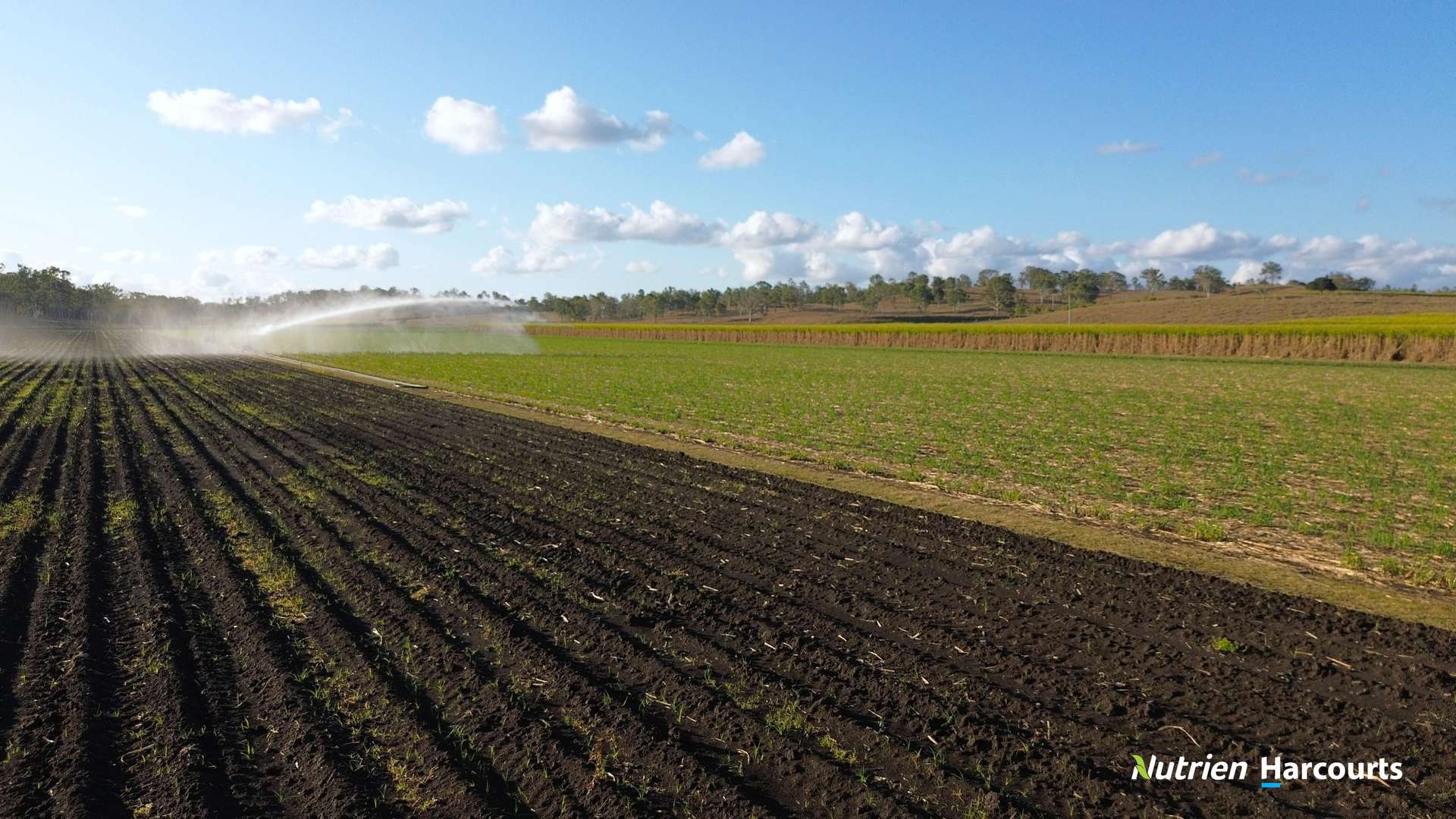 Lot/8 Cloyne Rd, McIlwraith For Sale by Farmbuy.com - image 2