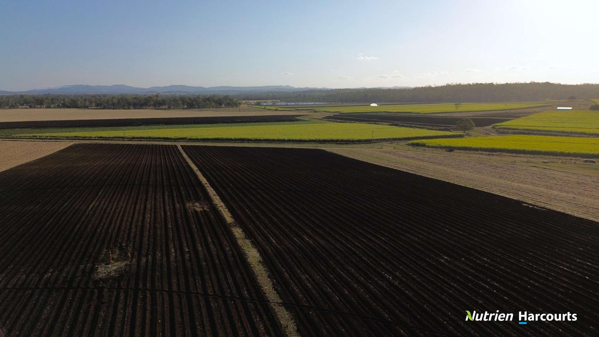 Lot/8 Cloyne Rd, McIlwraith For Sale by Farmbuy.com - image 5