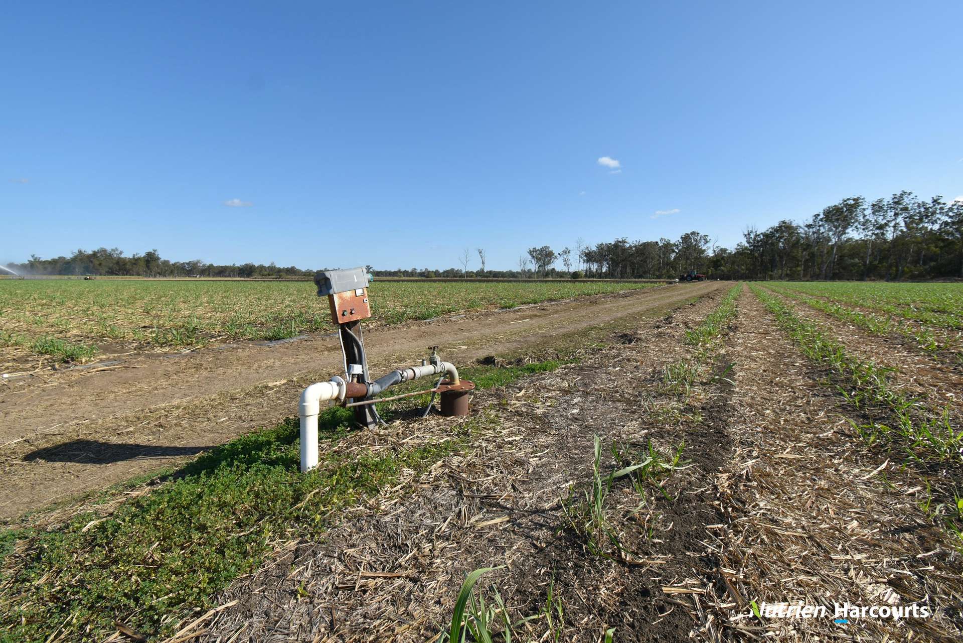 Lot/8 Cloyne Rd, McIlwraith For Sale by Farmbuy.com - image 13