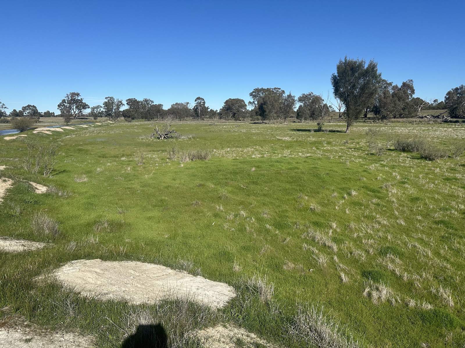 3473 Bindoon-Moora Road, Mogumber For Sale by Farmbuy.com - image 12