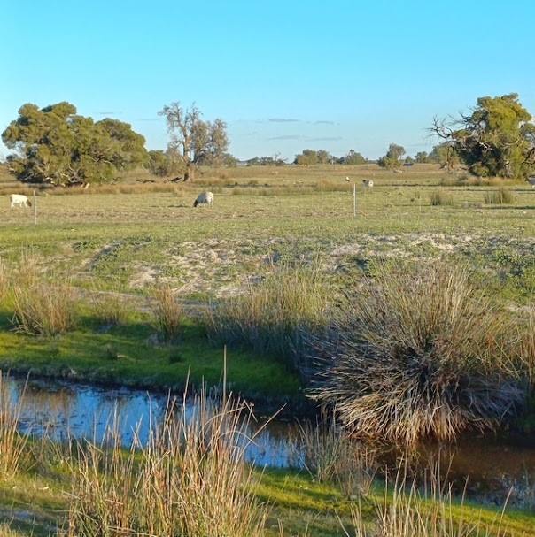 3473 Bindoon-Moora Road, Mogumber For Sale by Farmbuy.com - image 7