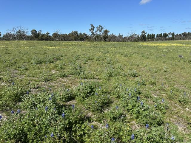 3473 Bindoon-Moora Road, Mogumber For Sale by Farmbuy.com - image 16