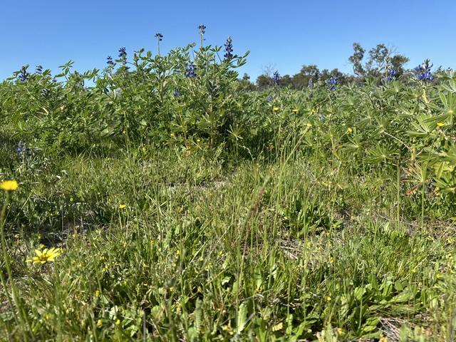 3473 Bindoon-Moora Road, Mogumber For Sale by Farmbuy.com - image 15