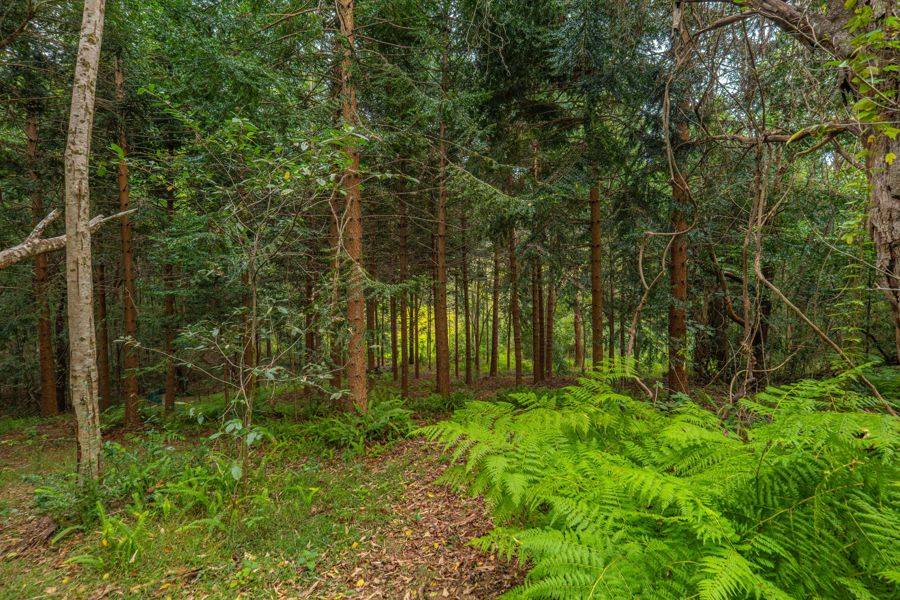 1896 Noosa Road, Traveston For Sale by Farmbuy.com - image 20