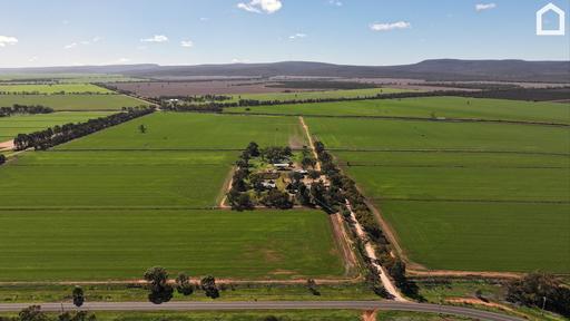 Farm For Sale - NSW - Myall Park - 2681 - " THORNWYRAN" - BROAD ACRE & IRRIGATION PROPERTY 