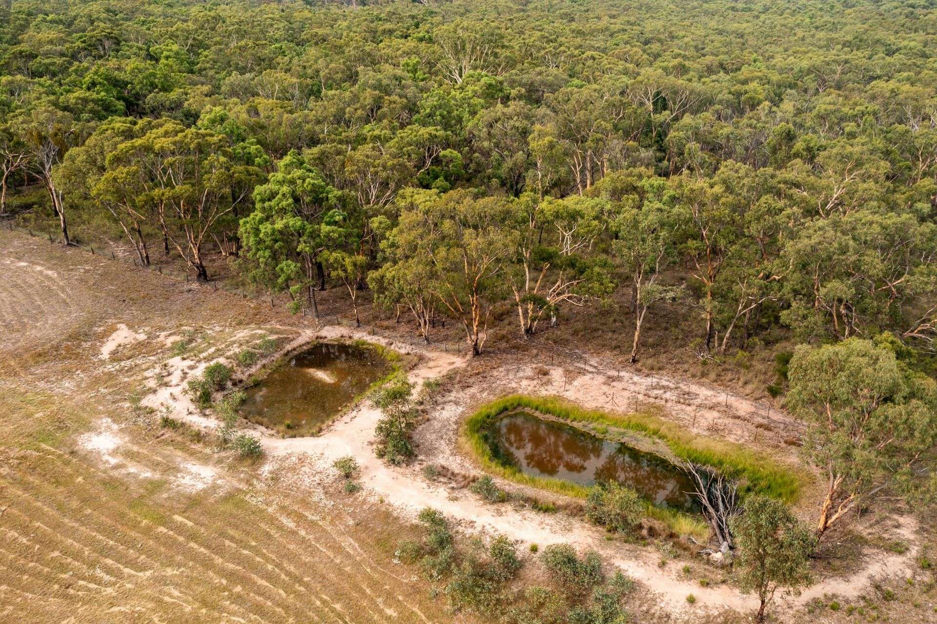 1152 Cope Road, Gulgong For Sale by Farmbuy.com - image 30