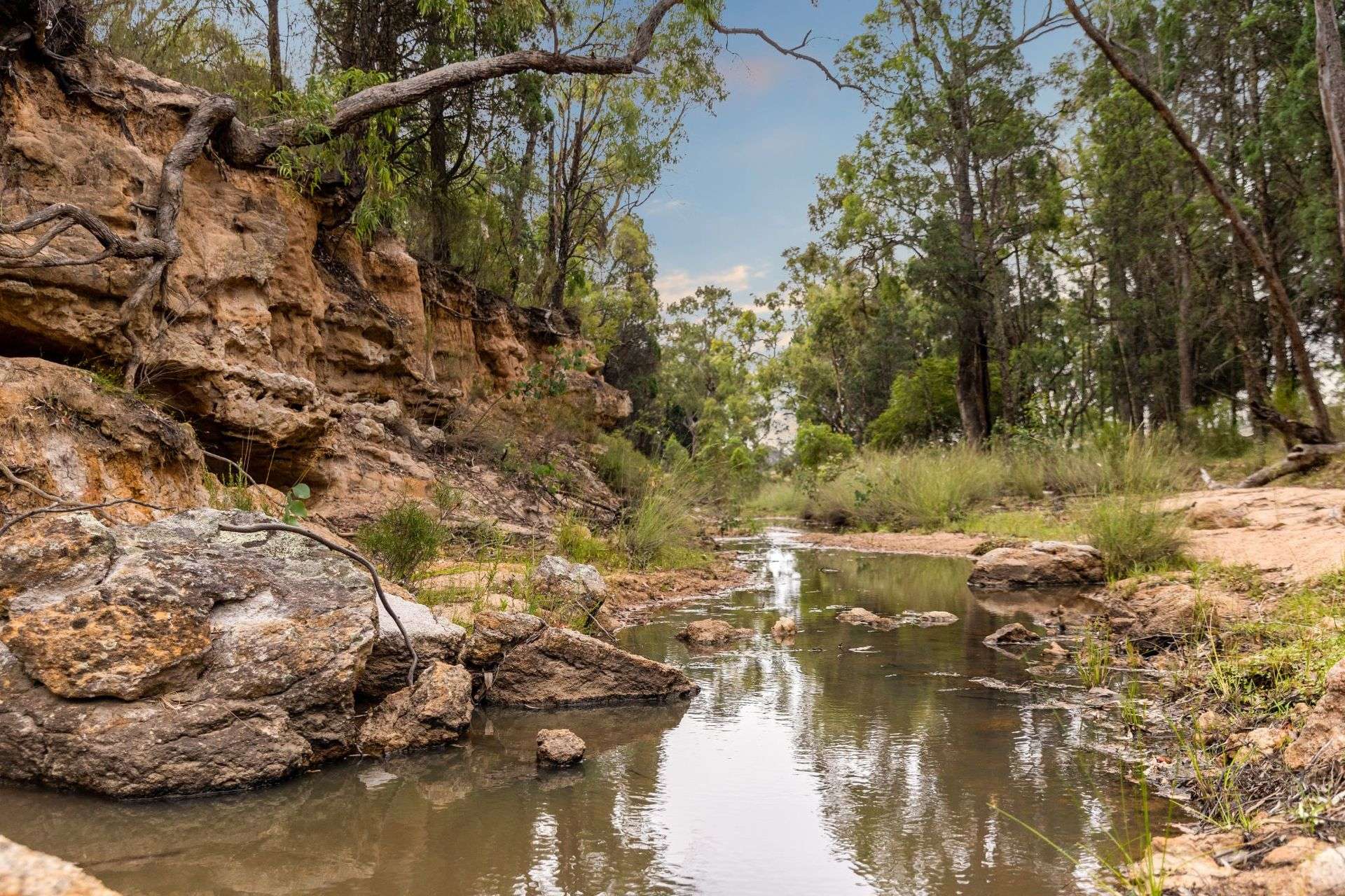 1152 Cope Road, Gulgong For Sale by Farmbuy.com - image 28