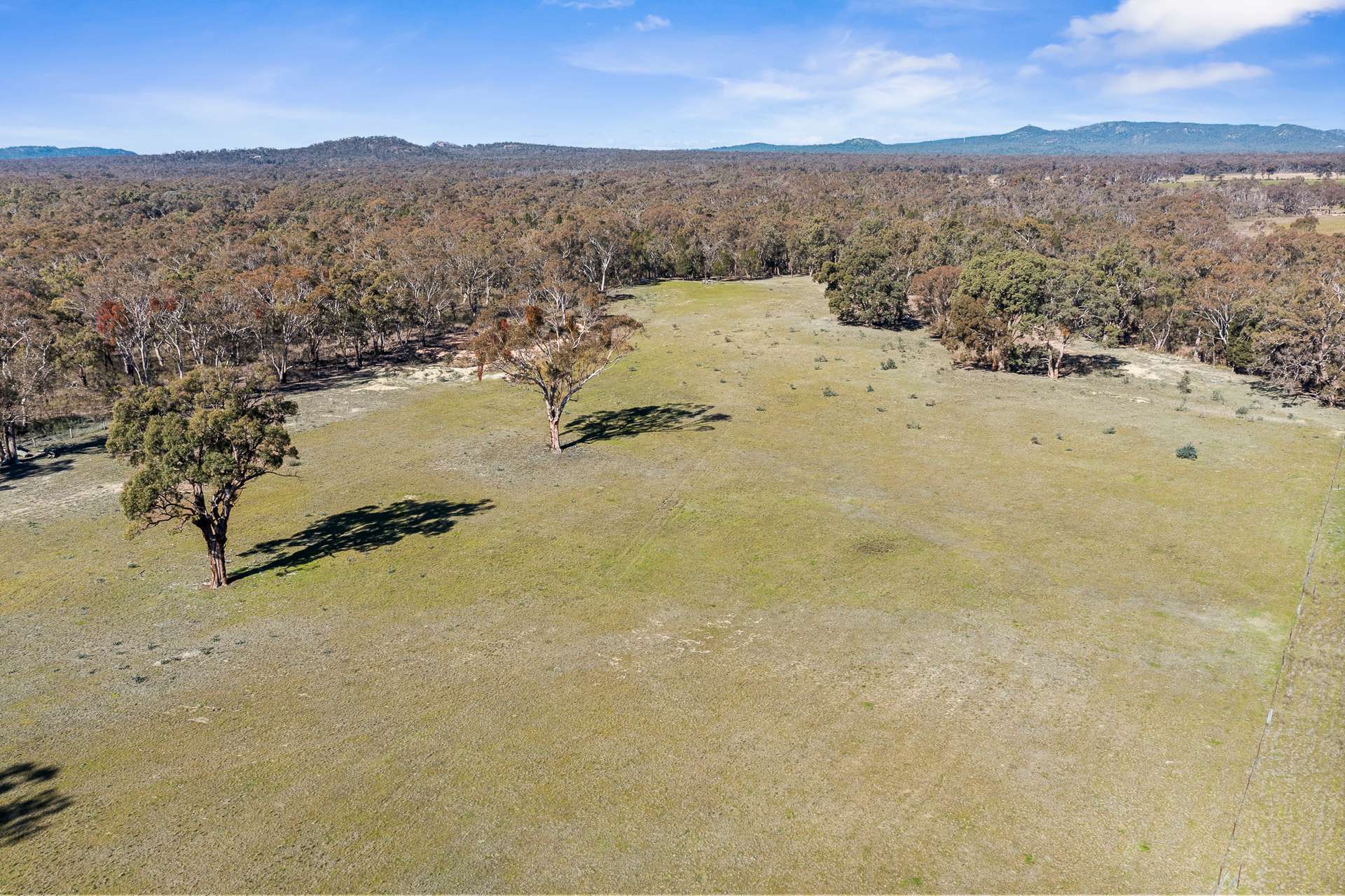 1152 Cope Road, Gulgong For Sale by Farmbuy.com - image 29