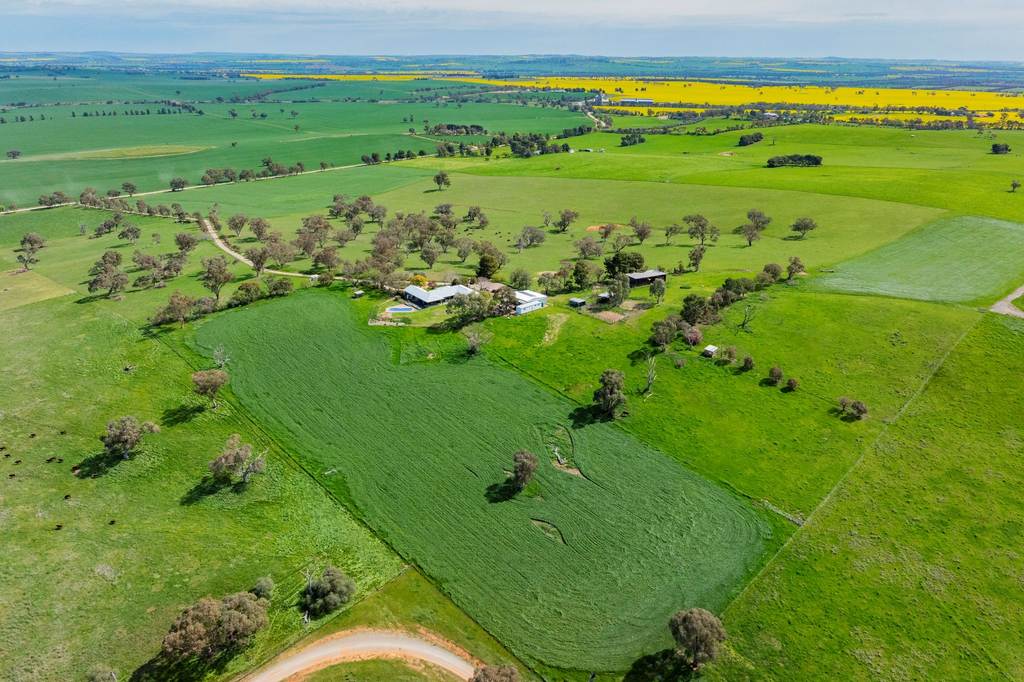 448 Shepherds Siding Road, Wagga Wagga NSW 2650