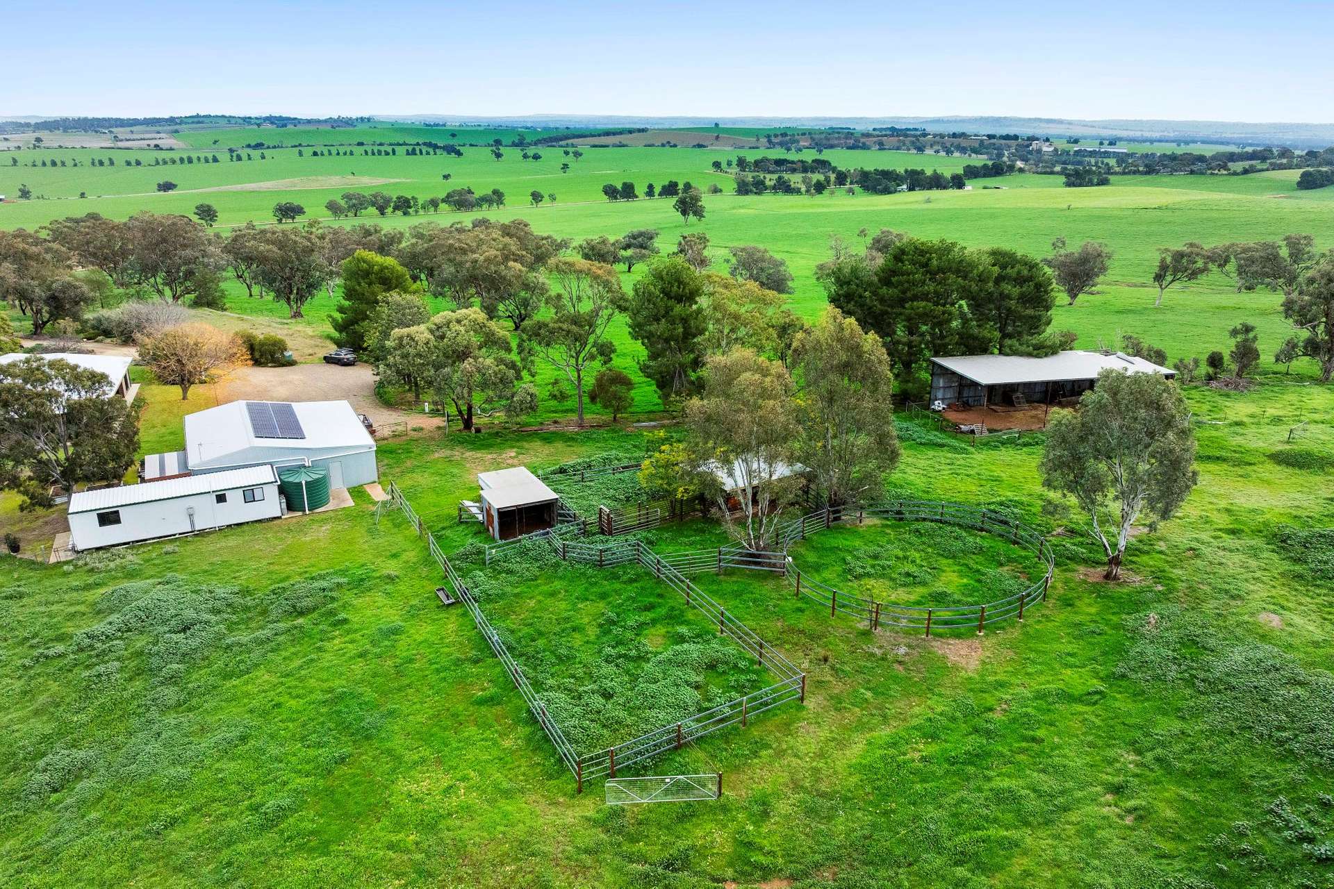 448 Shepherds Siding Road, Wagga Wagga For Sale by Farmbuy.com - image 25