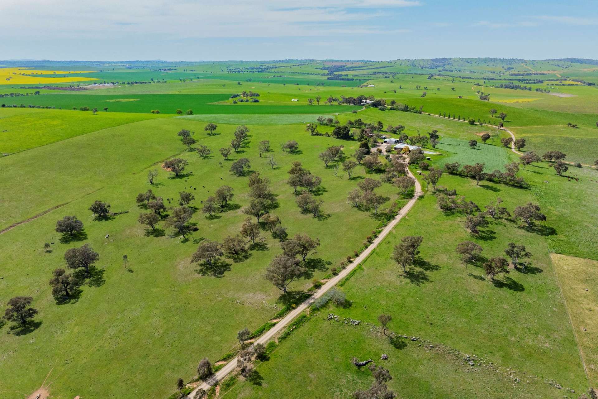 448 Shepherds Siding Road, Wagga Wagga For Sale by Farmbuy.com - image 27