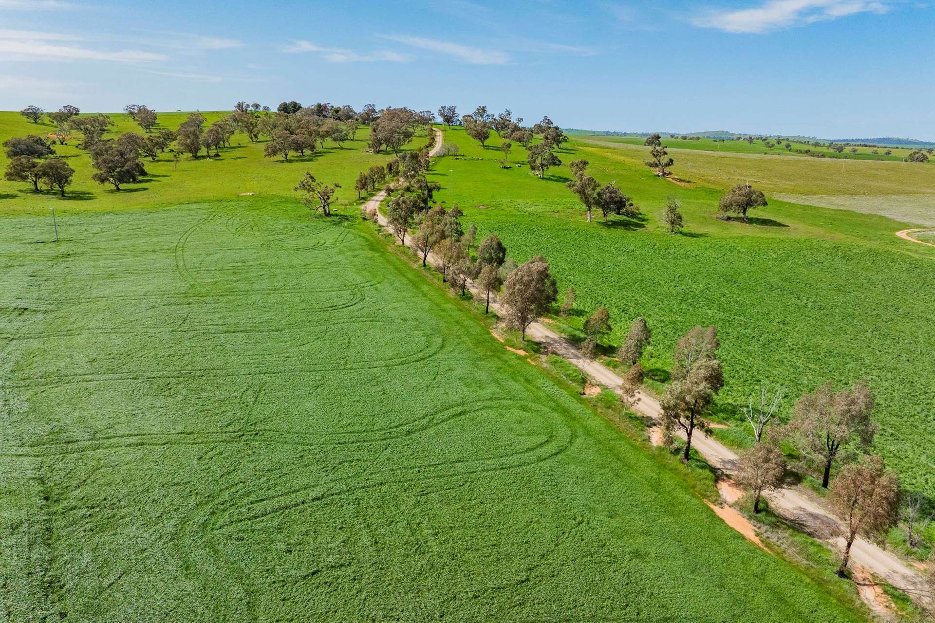 448 Shepherds Siding Road, Wagga Wagga For Sale by Farmbuy.com - image 5